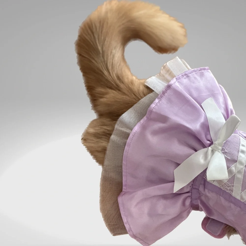 Cat princess Halloween costume